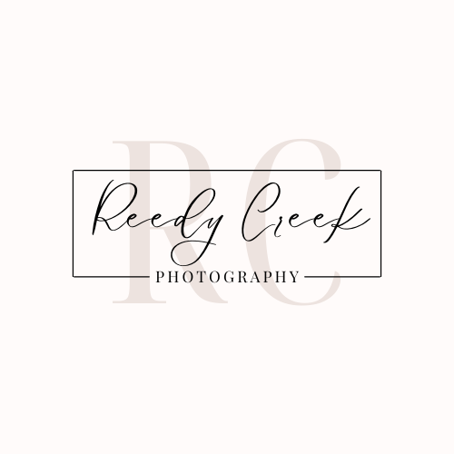 Reedy Creek Photography