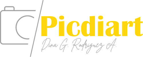 PicDiart