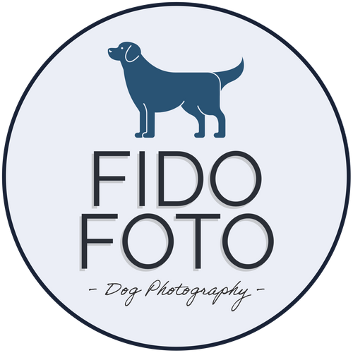 Fido Foto Toronto