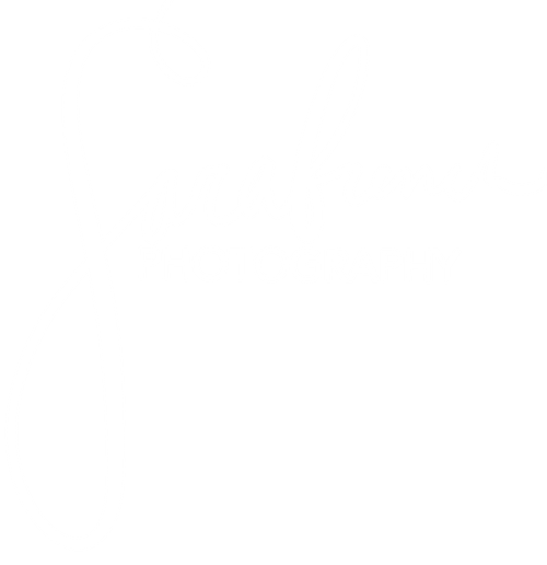 Sara French Photography