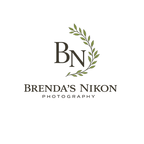site-logo