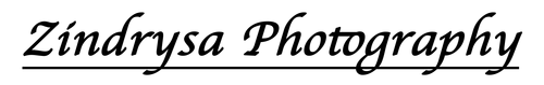 site-logo