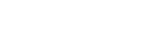 Julia Aßmann Fotografie