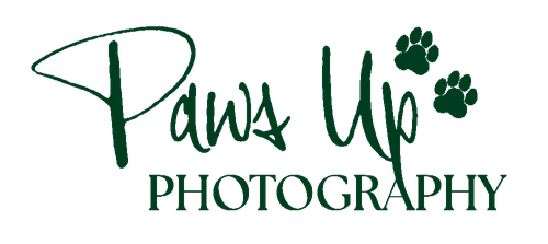 Paws Up Photography