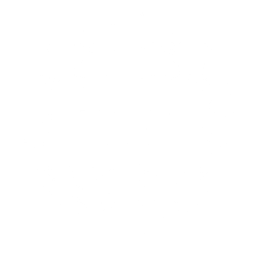 BLOOM PHOTOGRAPHY