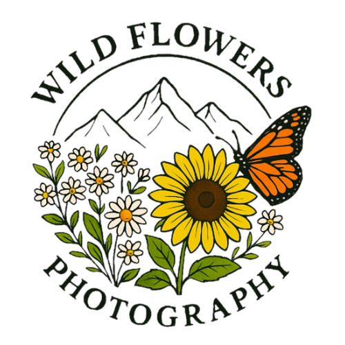 Wild Flowers Photography