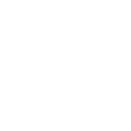 Vida Videography