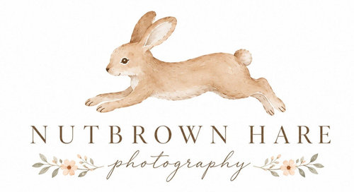 Nutbrown Hare Photography