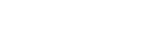 Chelsea Lane Photography