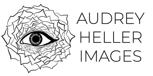 site-logo