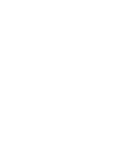 Above The Pine Trees