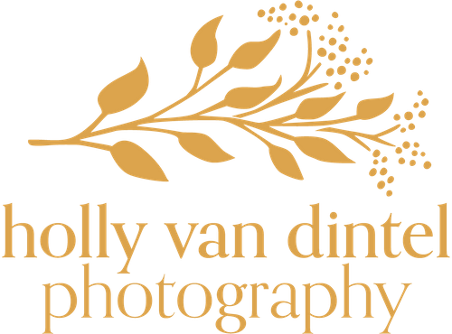 Holly Van Dintel Photography
