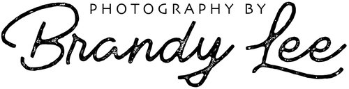Photography By Brandy Lee