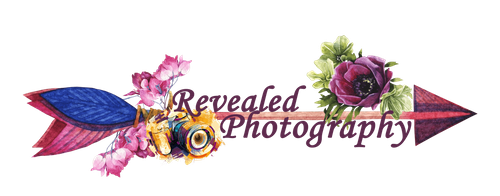Revealed Photography