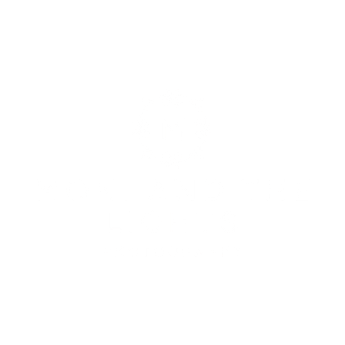 Moni and the Lights