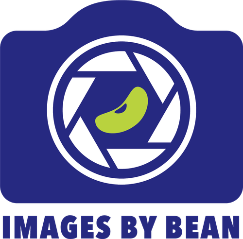 site-logo