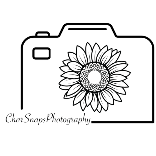 site-logo