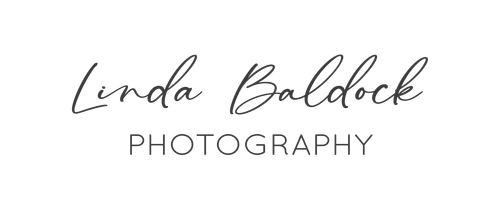 Linda Baldock Photography