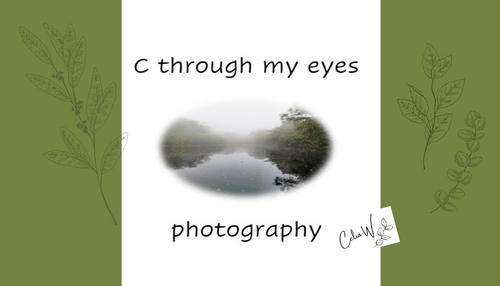 C through my eyes photography