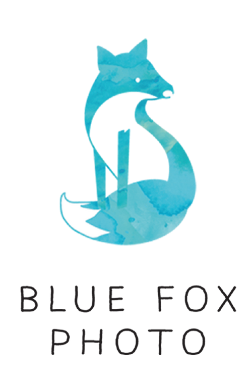 Blue Fox Photo