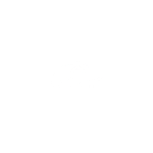 Ryan Sawyer Photography