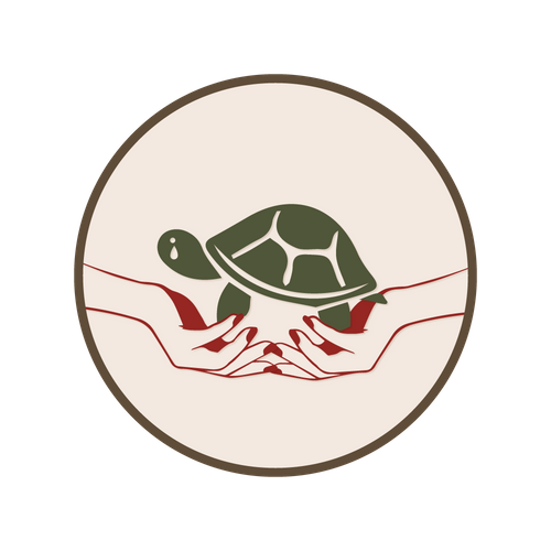 Malaysia Abandoned Turtles’ Concern Group          |                                                                                                大馬棄龜關注組