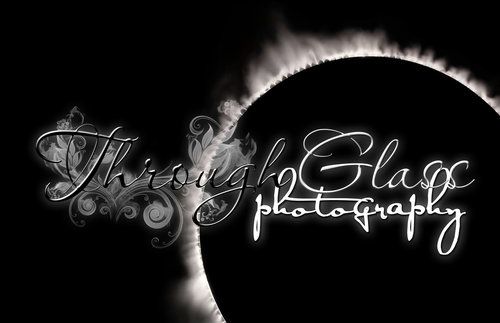 Through Glass Photography