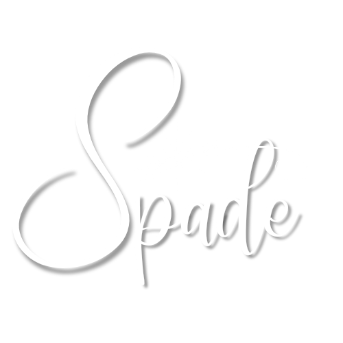 Snapshots By Spade