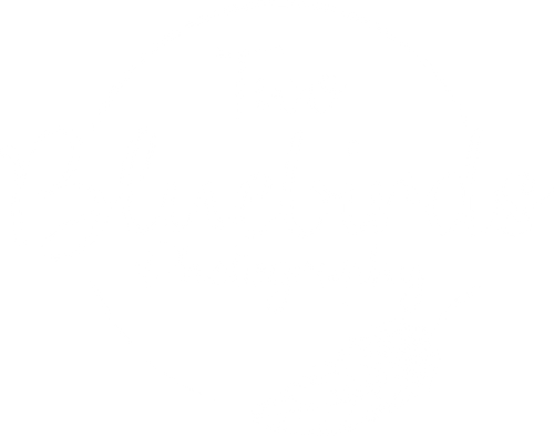 Two Bluebirds Photography