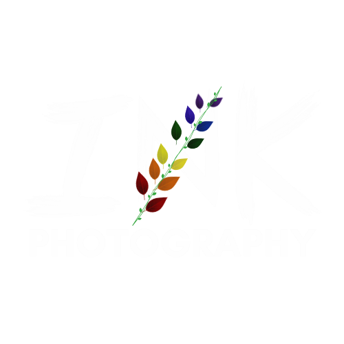 Ink Photography