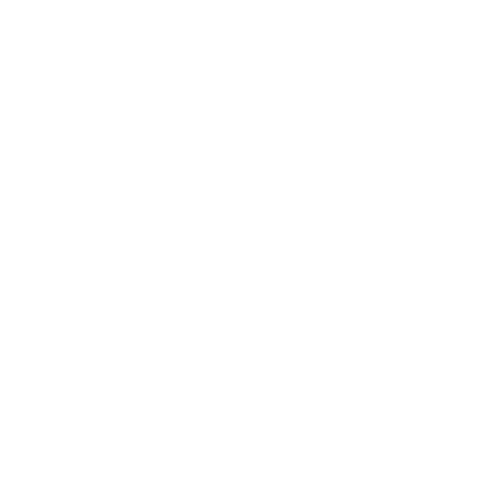 Tricia D Photography