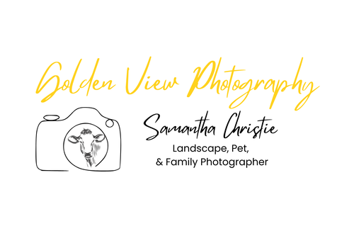 Golden View Photography