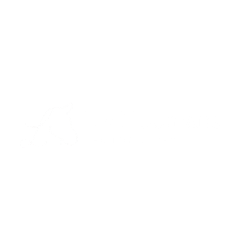 Liv Hoomans Photography