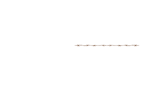 site-logo