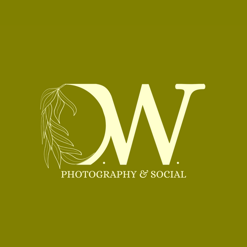 Olive Willow Photography