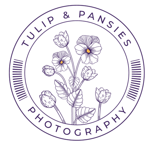 Tulip & Pansies Photography