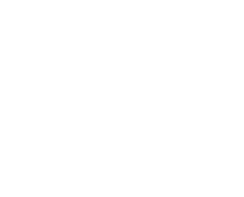 klaus, the photographer.