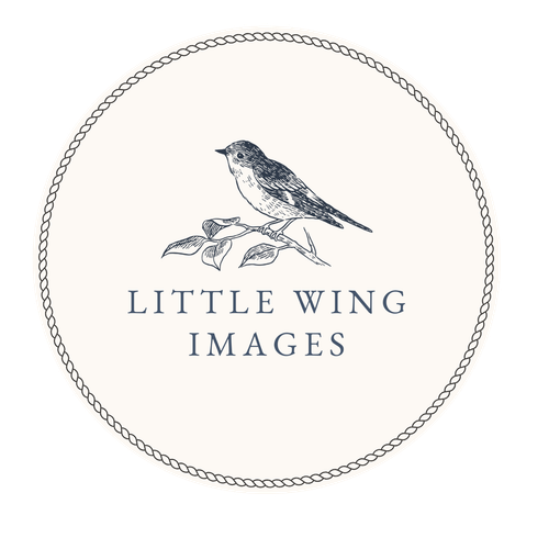 site-logo
