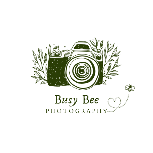 Busy Bee Photography