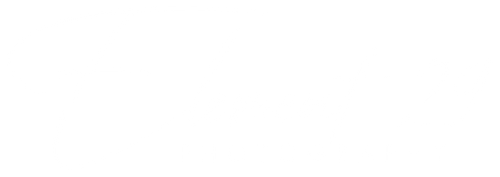 Element 29 Photography