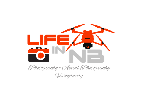 site-logo