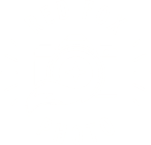 Red Fox Photo