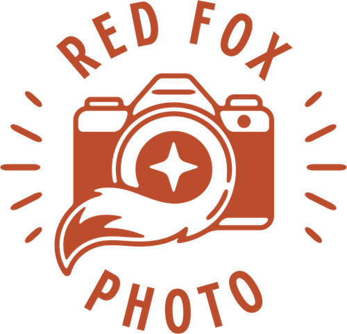 Red Fox Photo