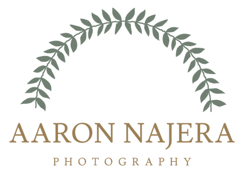 site-logo