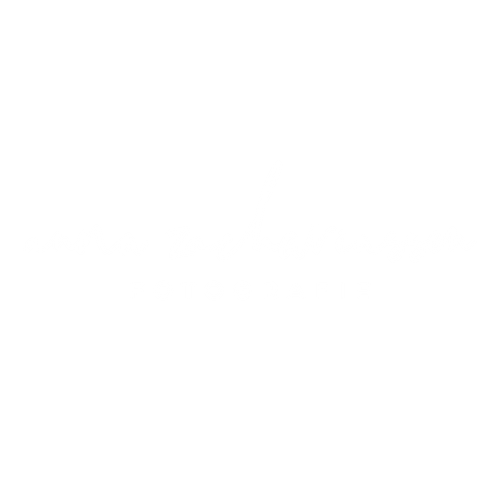 Anna Zachariassen Fotografie