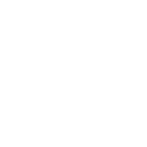 Ally C. Photography