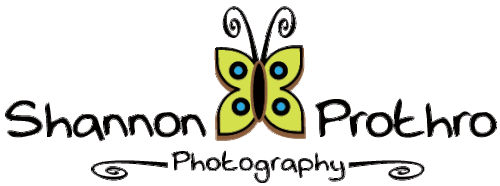 Shannon Prothro Photography