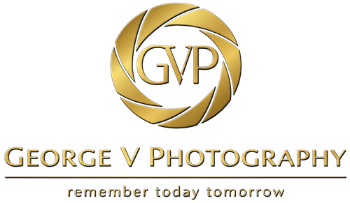 George V Photographyhttps://website.pixieset.com/design/logo#