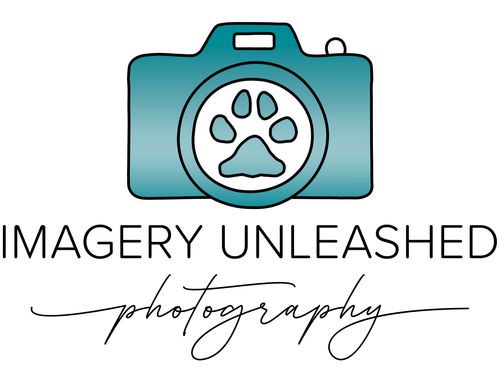 Imagery Unleashed Photography