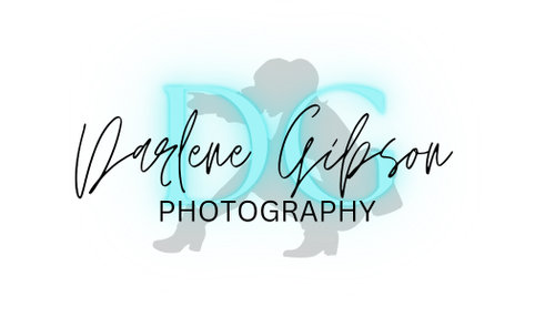 Darlene Gibson Photography